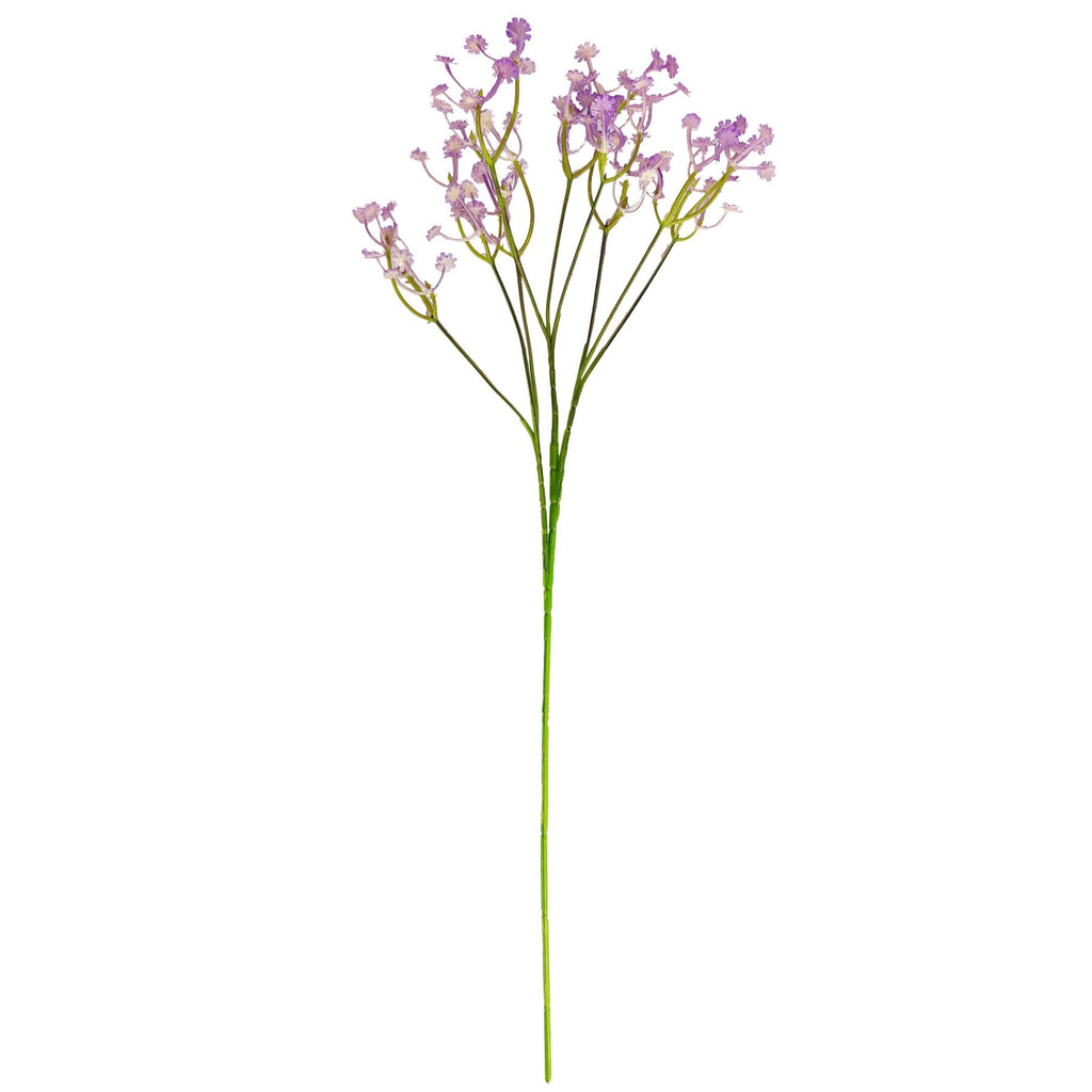 Coloured Gypsophila Sprays