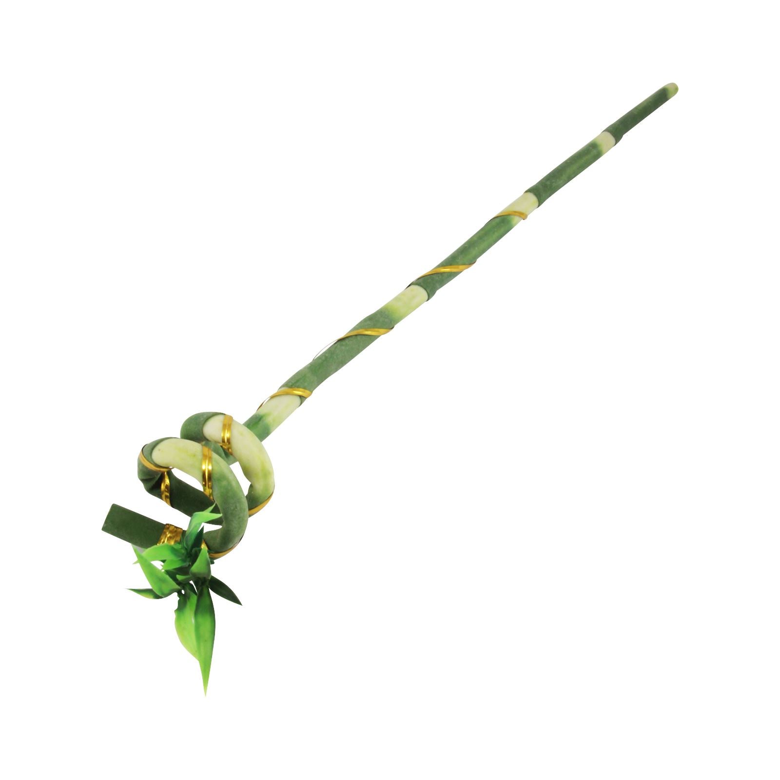 Long Spiral Twist Lucky Bamboo Stem with Sprout - Artificial Fake Foliage Leaf