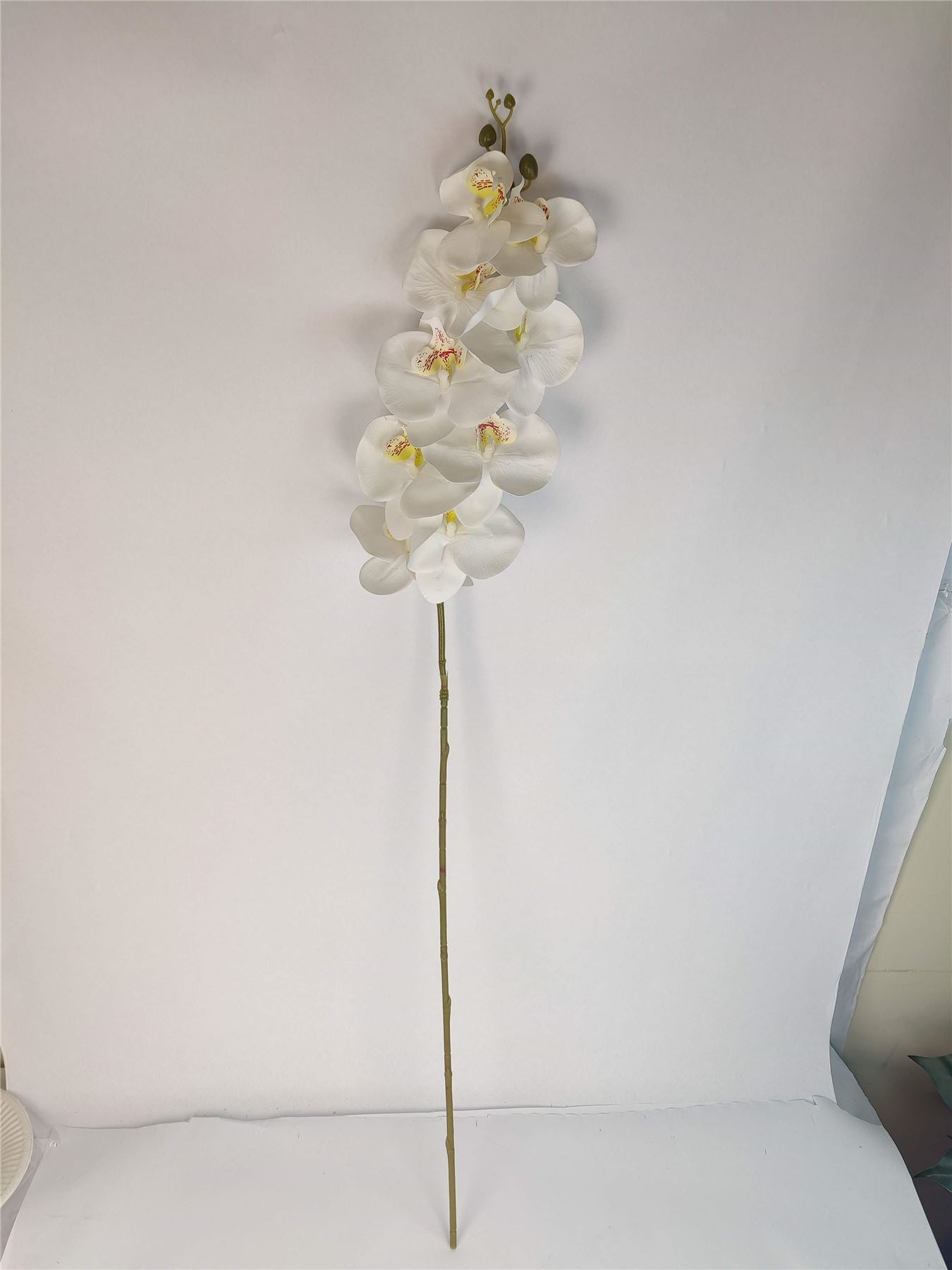 Luxury Single Ivory Orchid