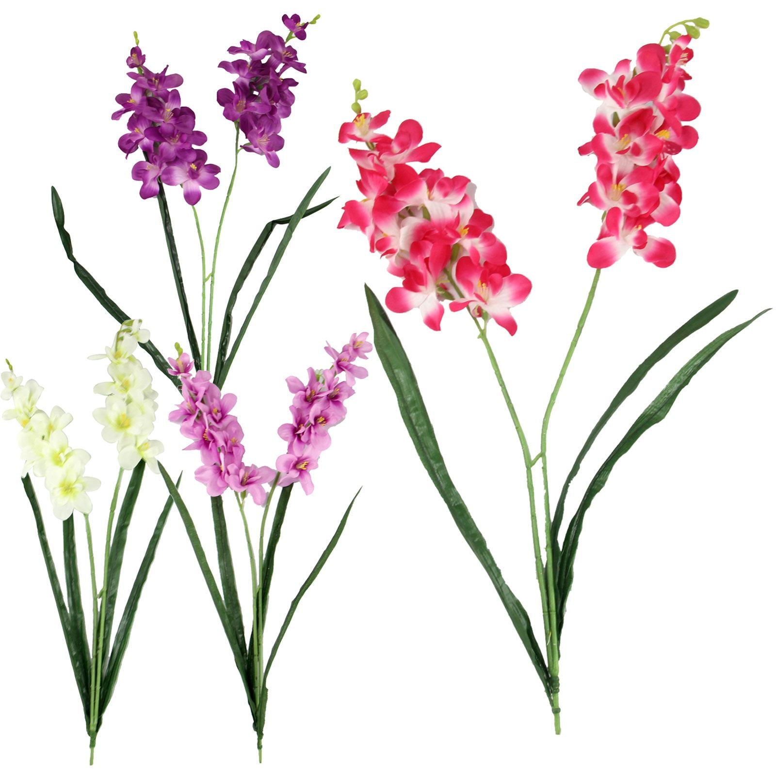 Double Stemmed Water Orchid Spray