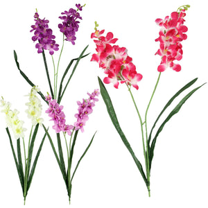 Double Stemmed Water Orchid Spray