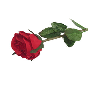 Single Premium Rose Bud