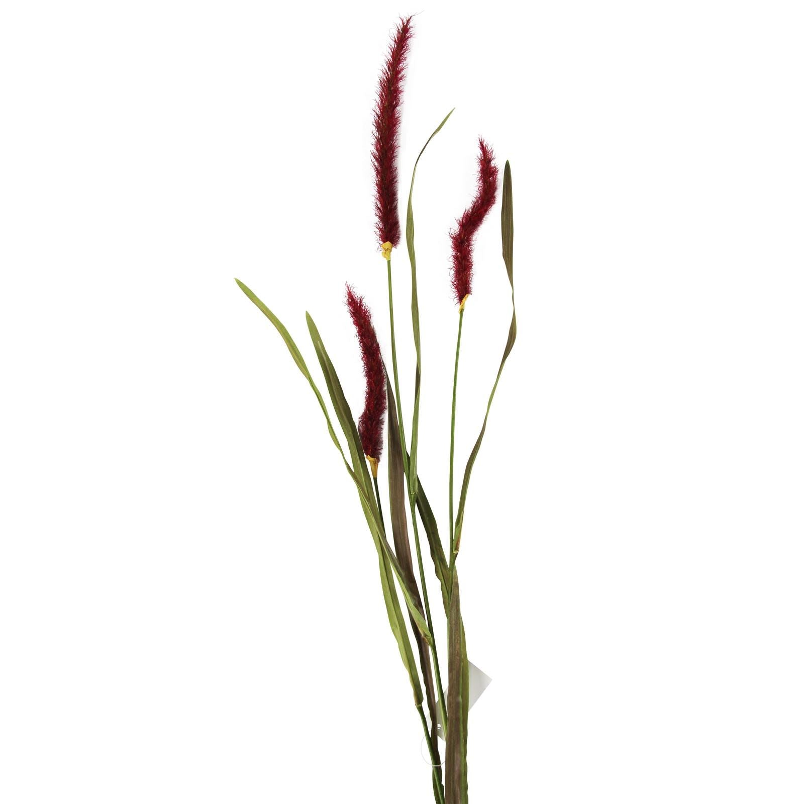 Burgundy Wolftail Stem