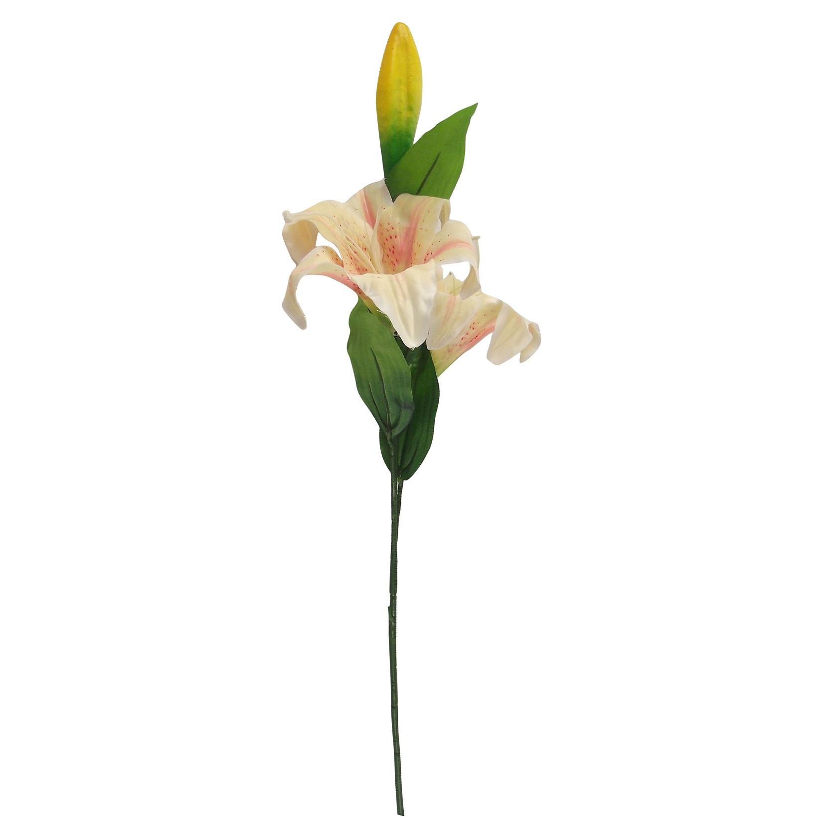 Stargazer Lily Spray