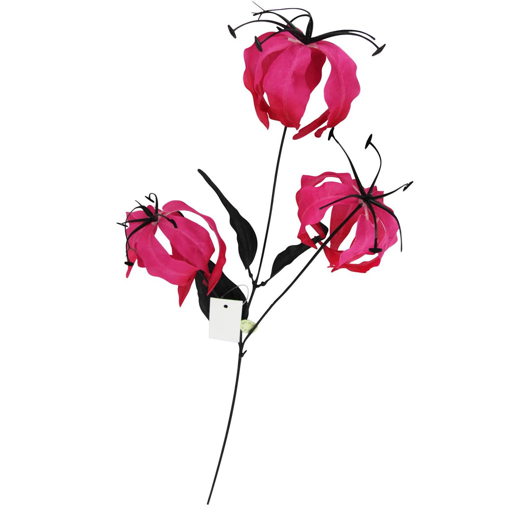 Gloriosa Spray with Black Foliage