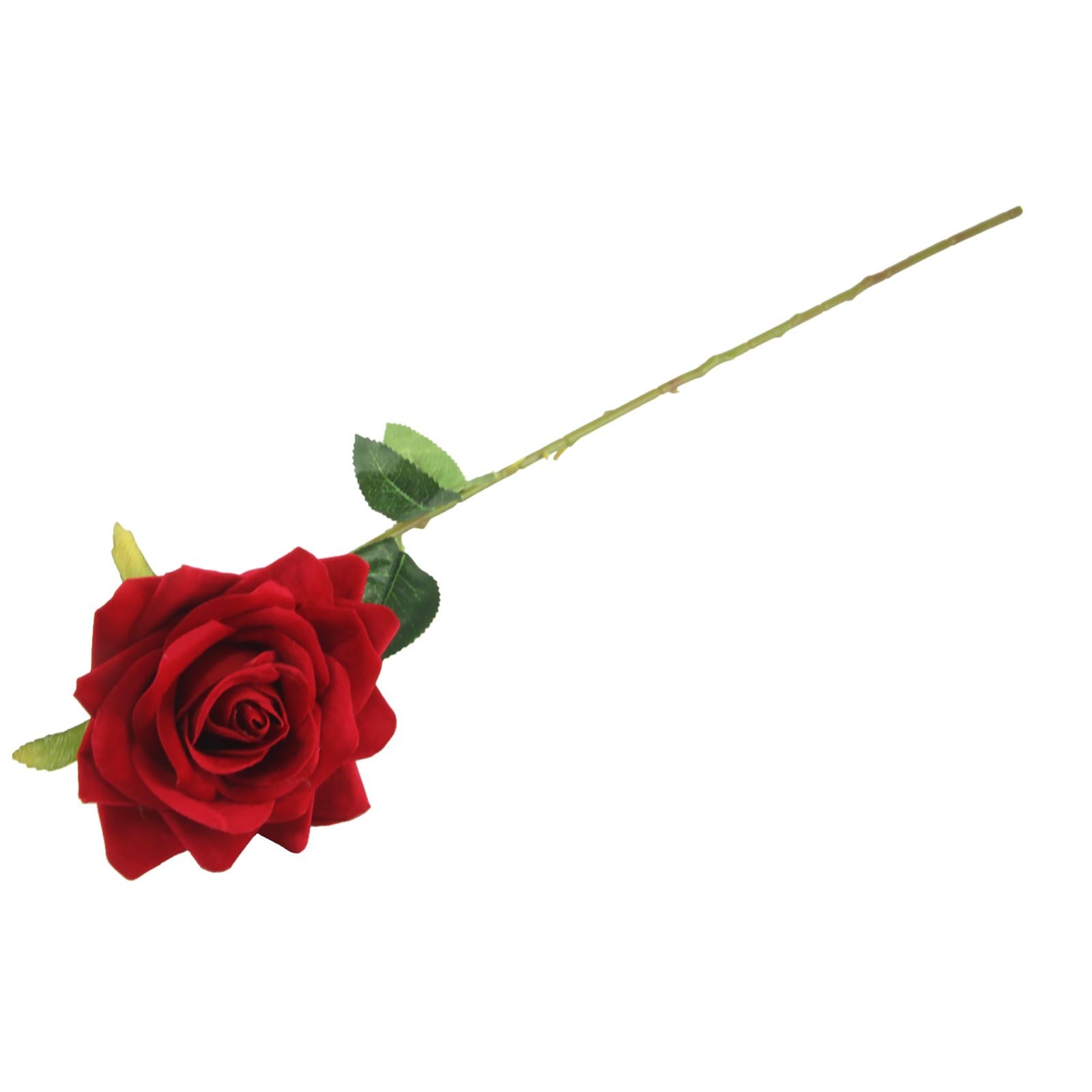 Premium Open Velvet Rose