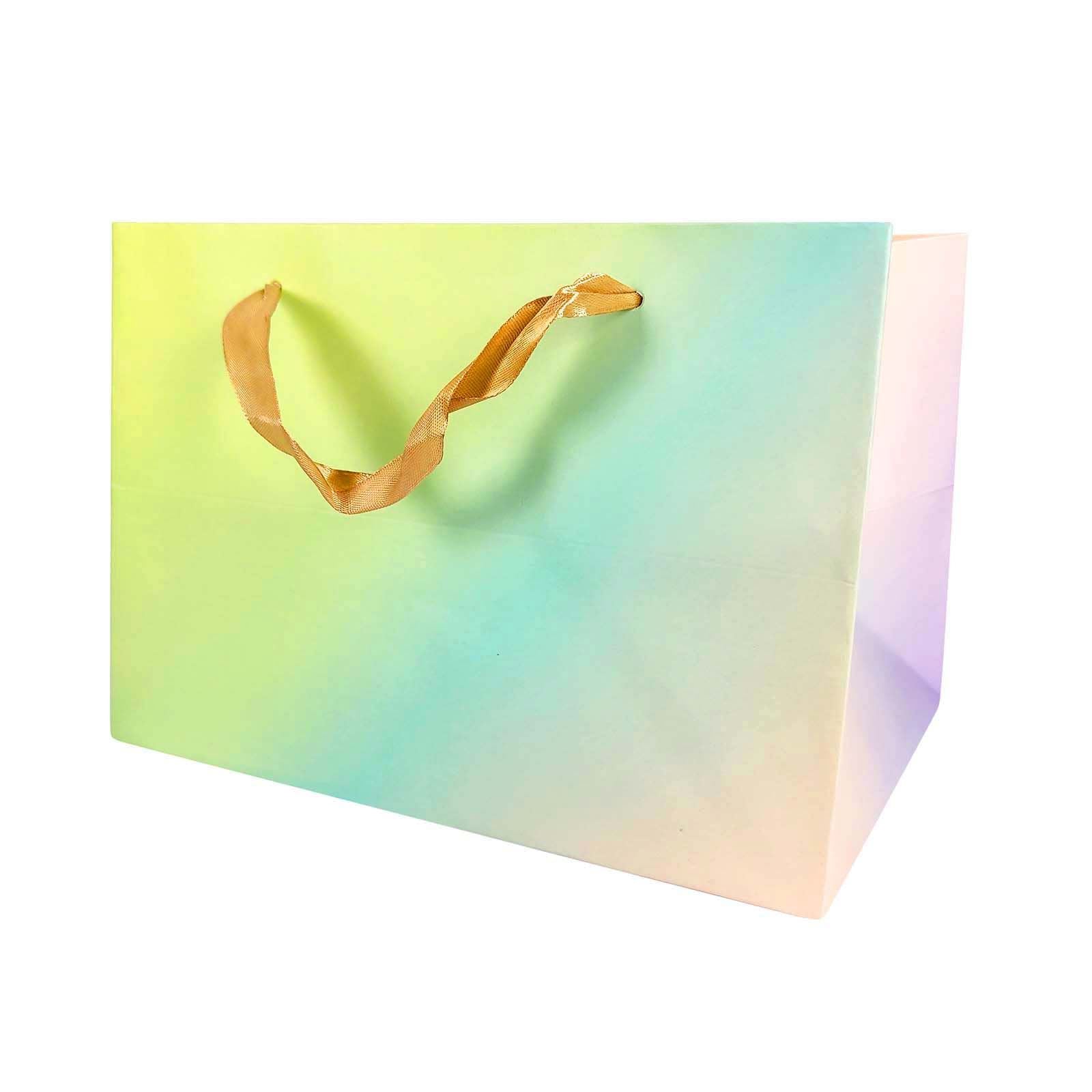 Large Deep Rectangular Pastel Gift Bags