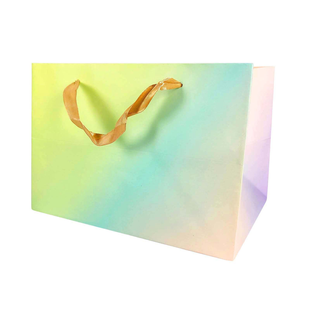 Large Deep Rectangular Pastel Gift Bags