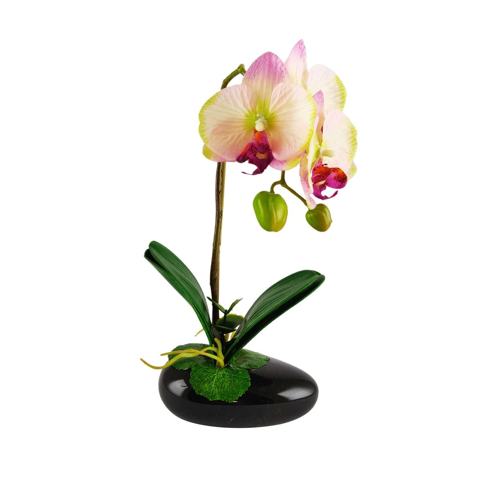 Pre-Potted Real Touch Orchid Plants