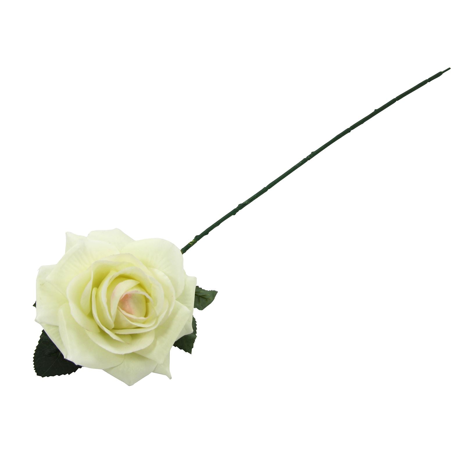 Large Plastic Premium Open Rose
