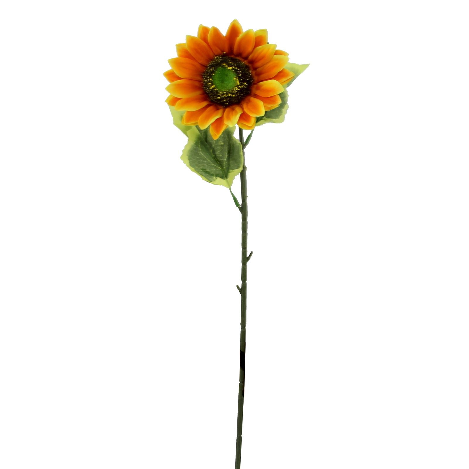 10x 14cm Premium Single Orange Sunflower