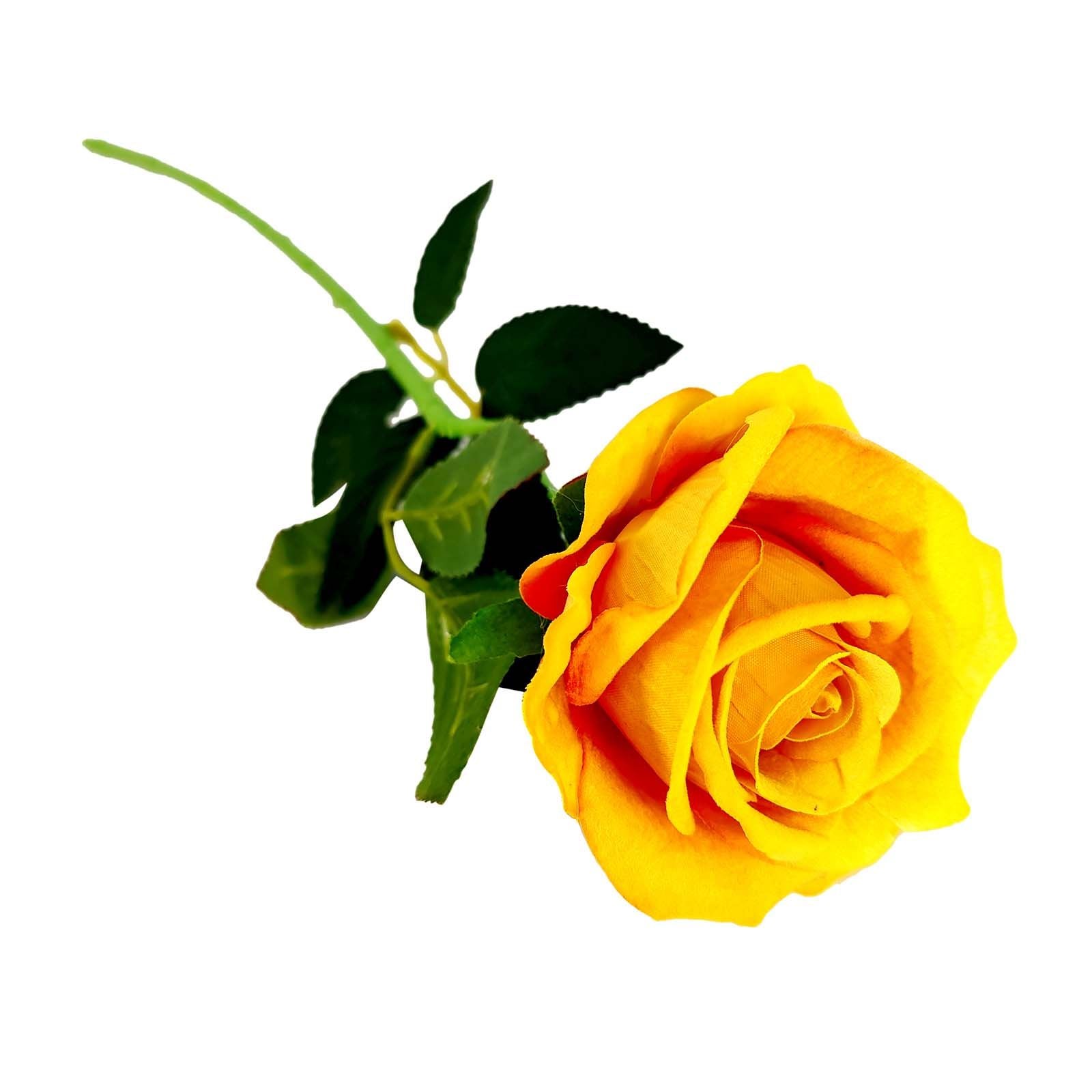 Luxury Soft Touch Roses - 6x