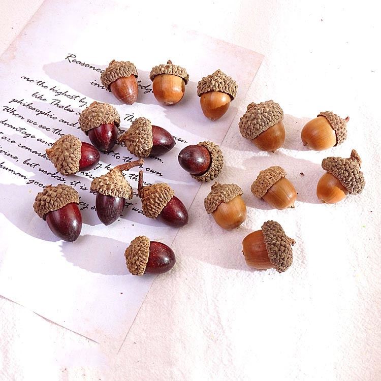 Decorative Complete Acorns Part Natural - Dried Artificial Nuts Decorations