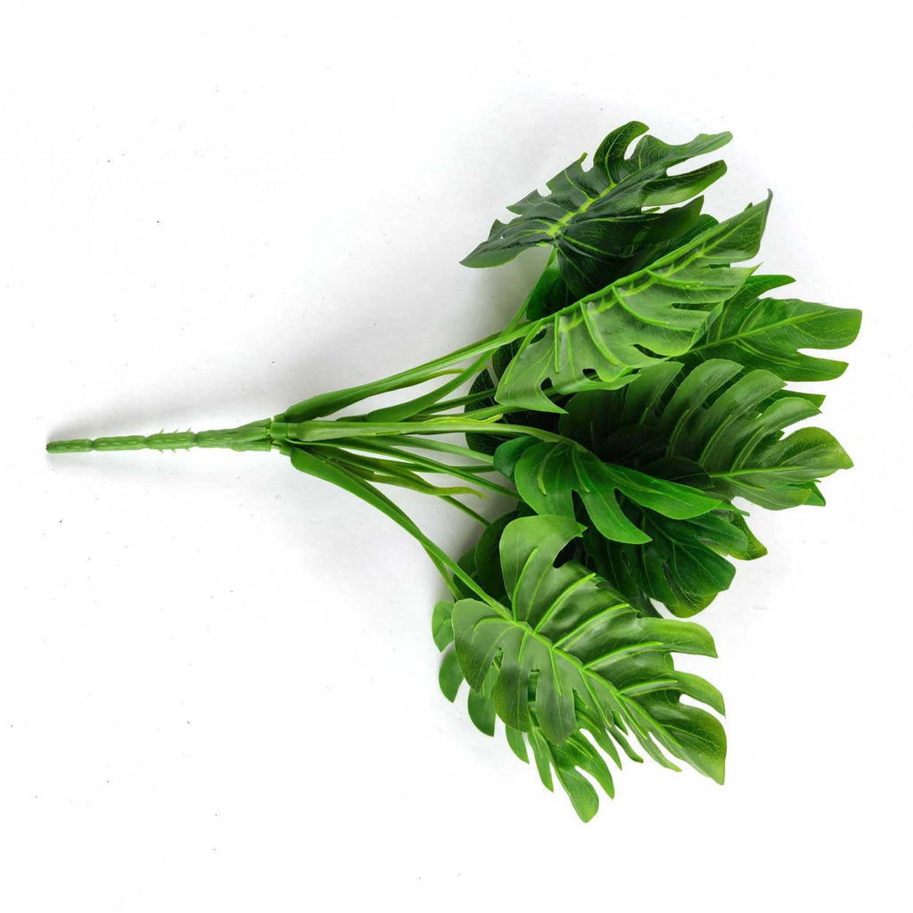 Bunch of 14 Premium Mini Cheeseplant Leaves