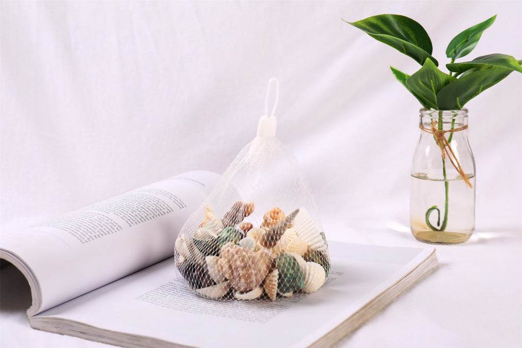 Bag of Assorted Sea Shells