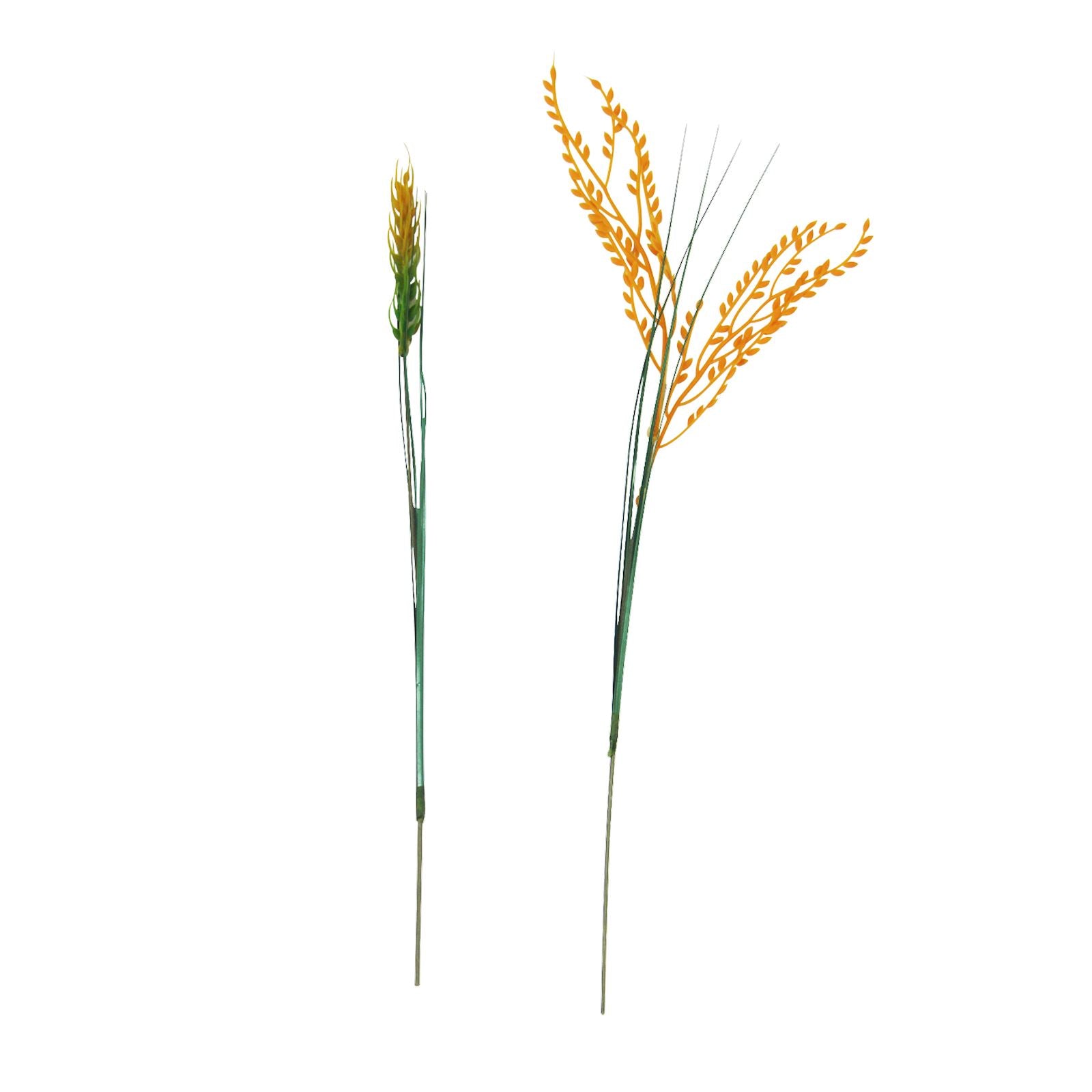 Artificial Wheat and Barley Germ Stems