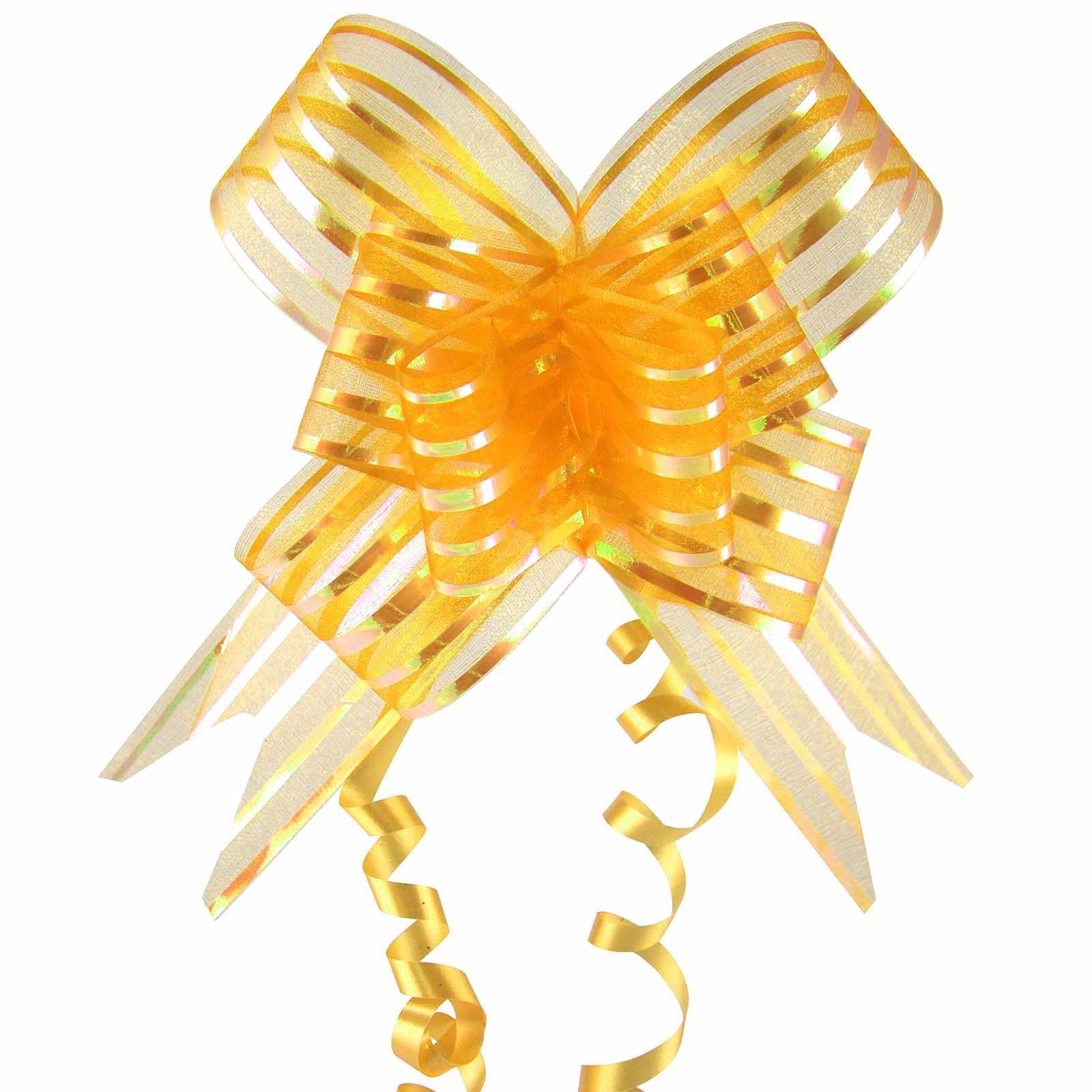 Giant 50mm Organza Butterfly Pull Bows
