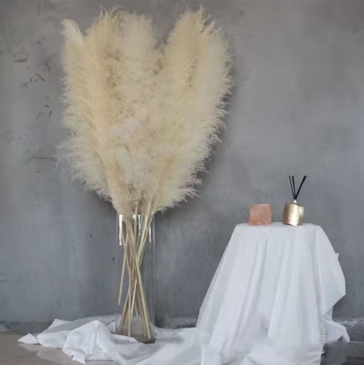 XL Natural Dried Pampas Grass Reed Flower Stems - Palm Spear Feather Foliage