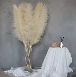 XL Natural Dried Pampas Grass Reed Flower Stems - Palm Spear Feather Foliage