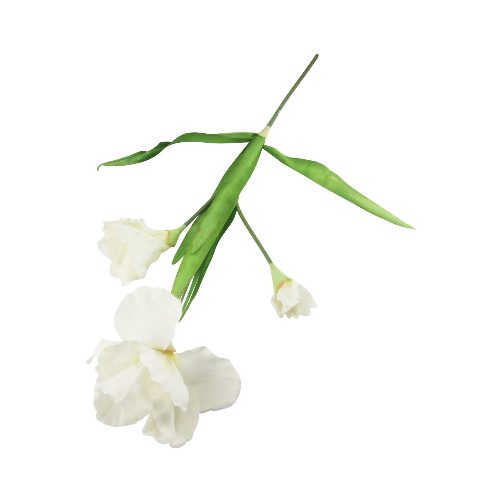 3 Head Large Lisianthus Spray