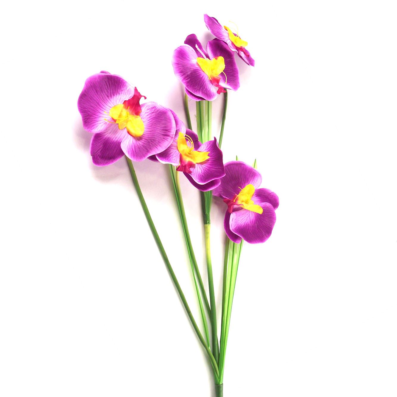XL Eco Panda Orchid Spray