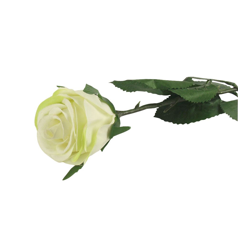Single Premium Rose Bud