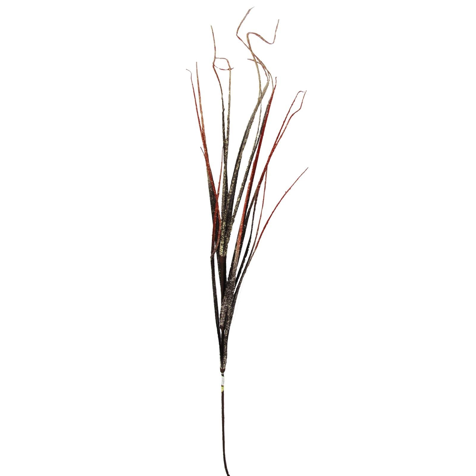 Textured Onion Bear Grass
