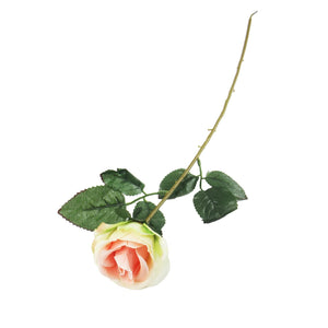 Single Eco Rose Stem