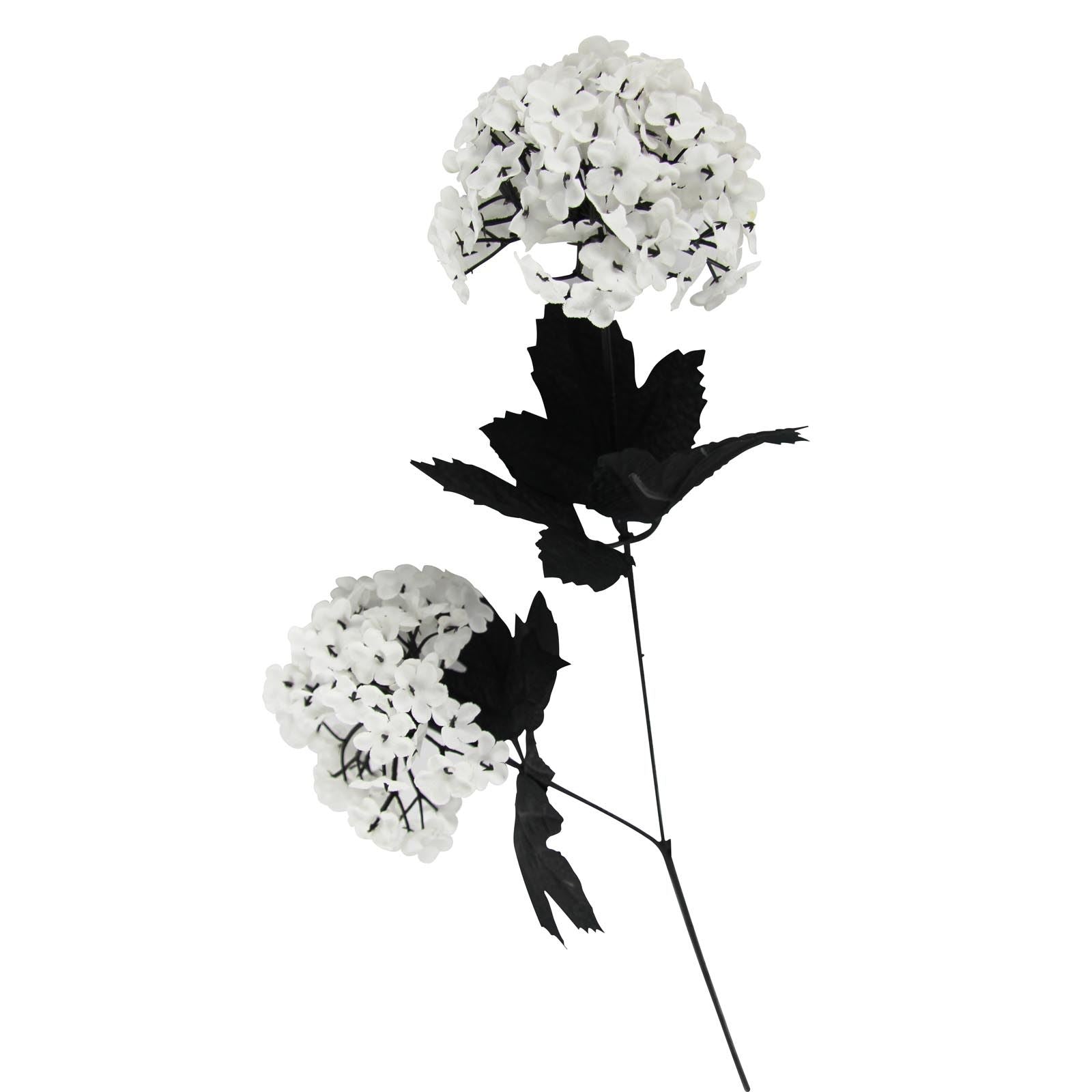 Snowball Hydrangea Flower
