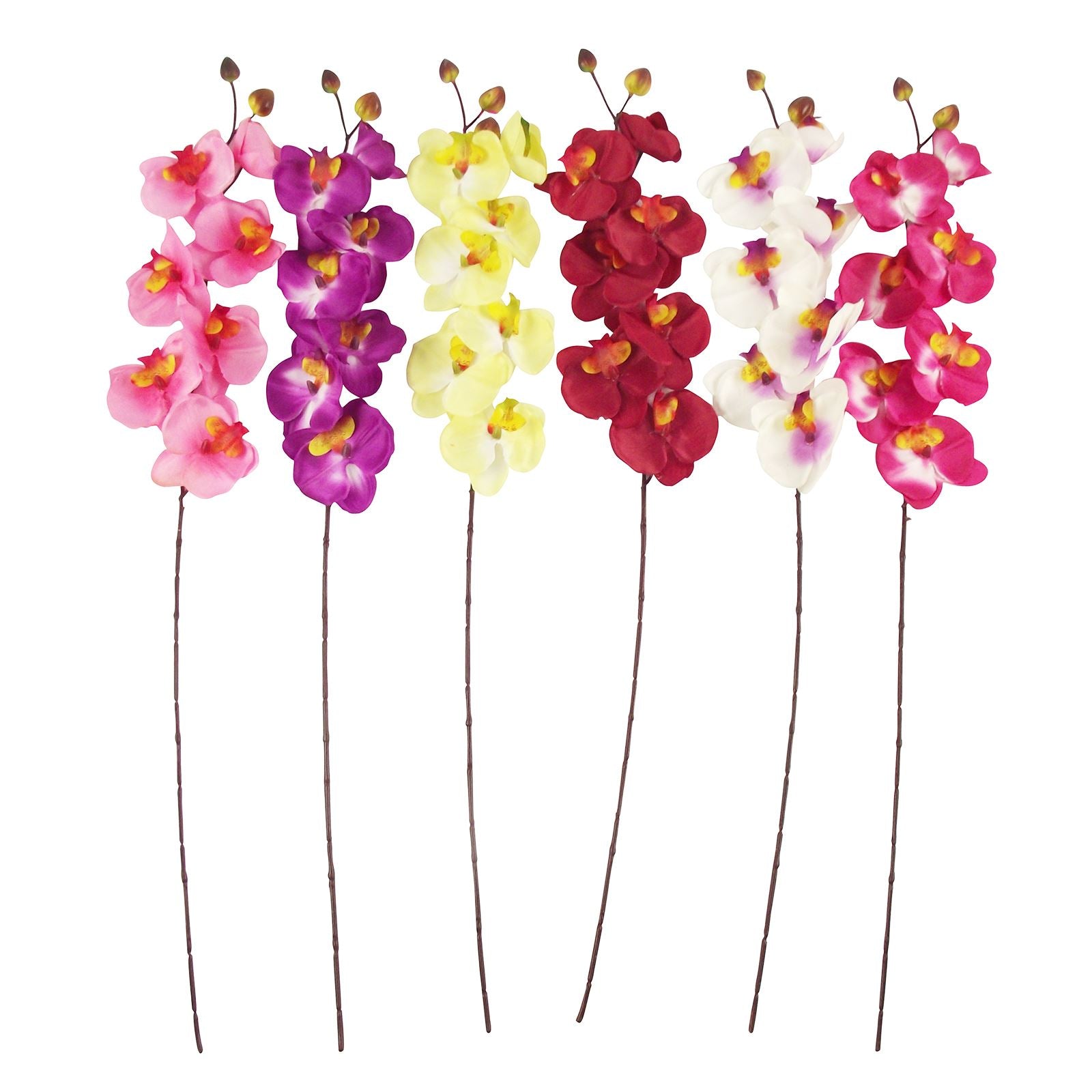 Long Stemmed Eco Orchid Stem