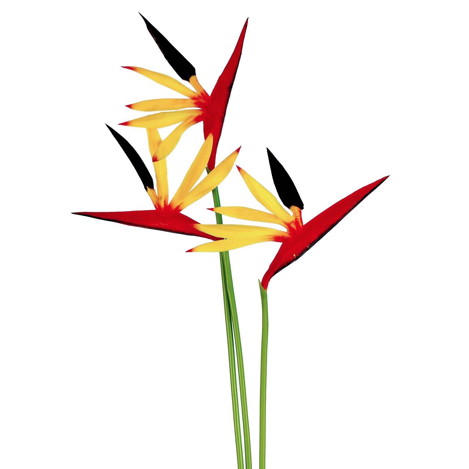 Eco Bird of Paradise Stem