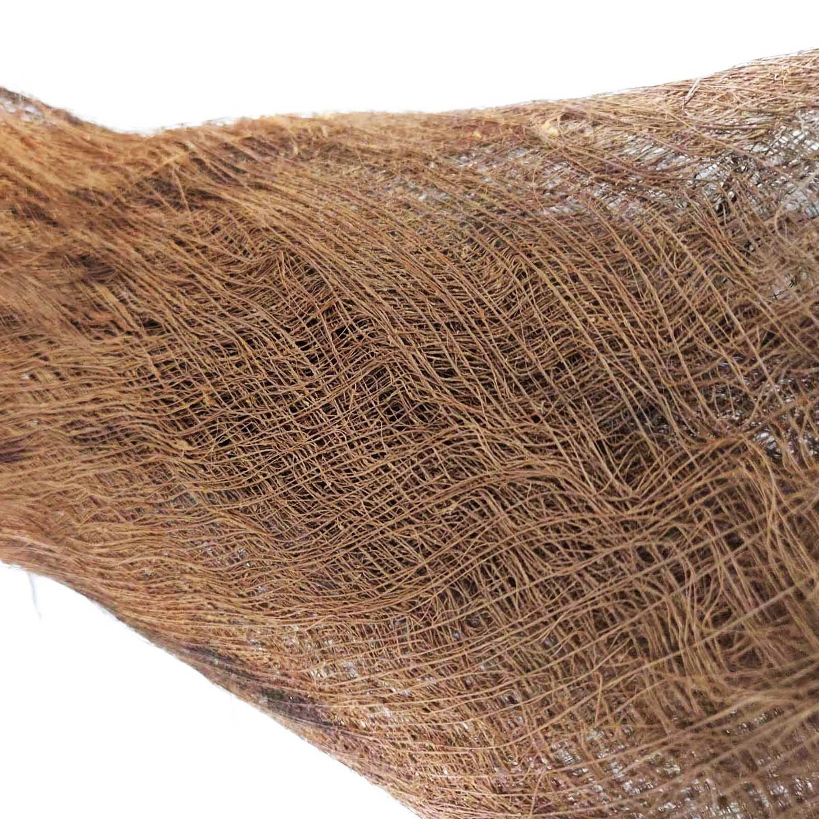 Dried Preserved Palm Tree Hair Fluff