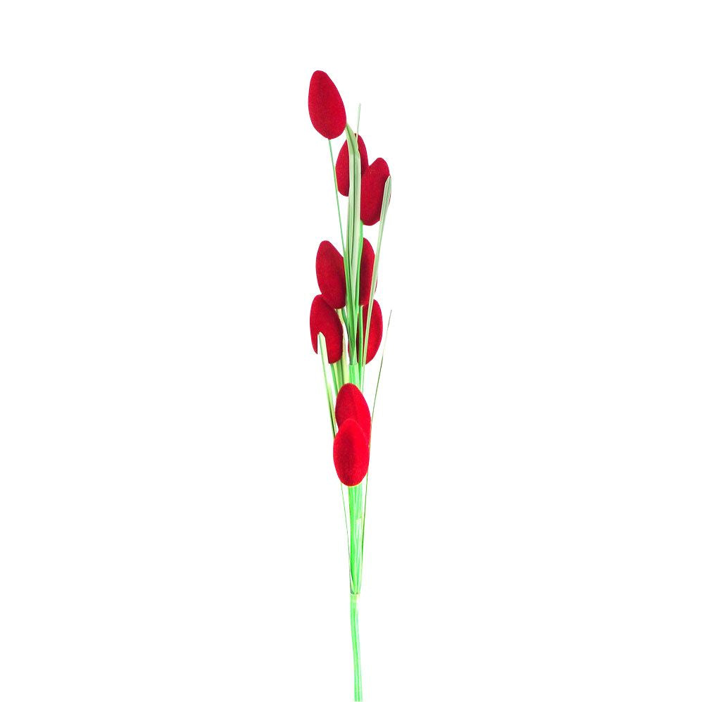 Hairy Fruit Flower Spray