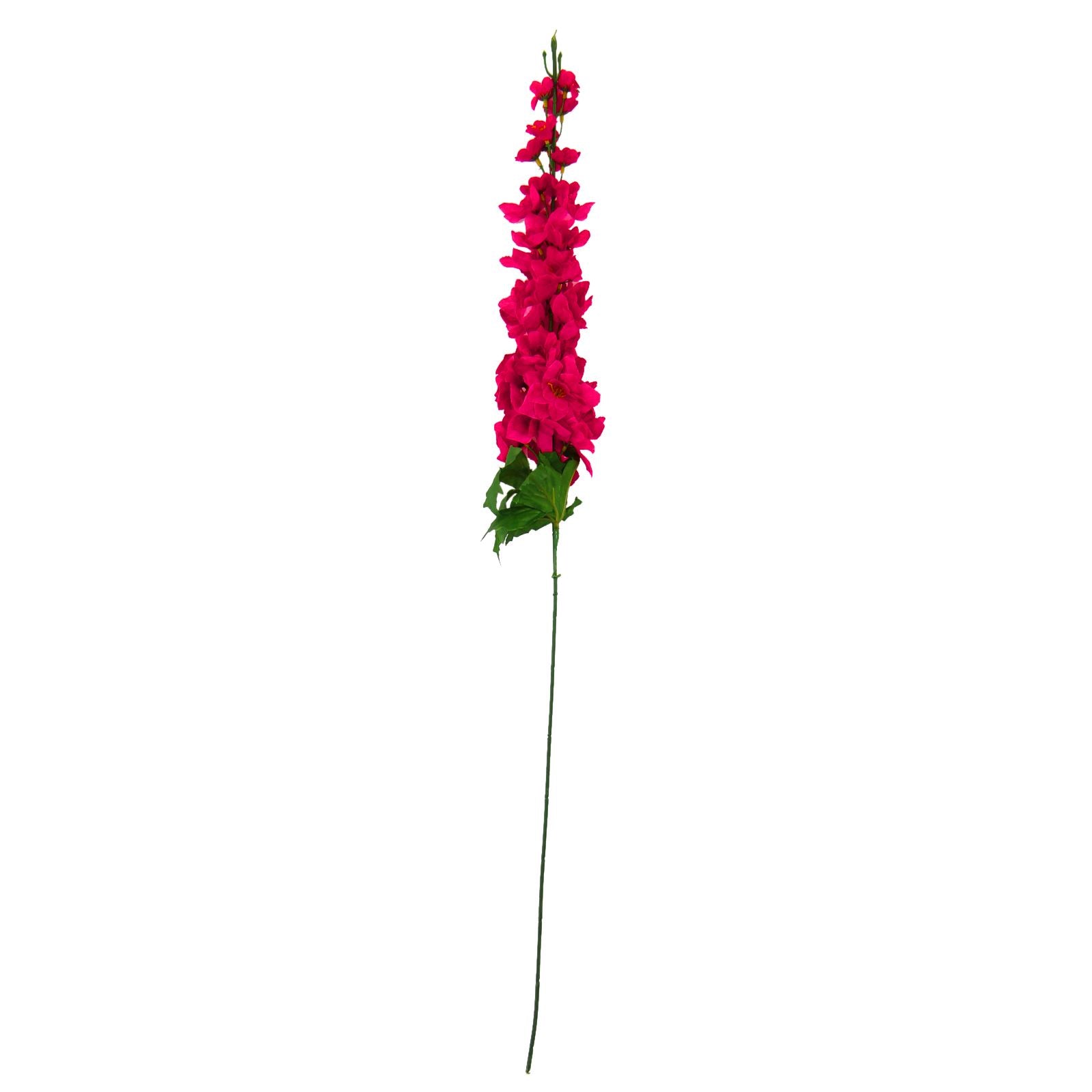 Single Delphinium Spray Stem