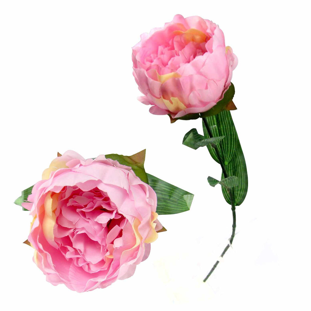 Single Large Peony