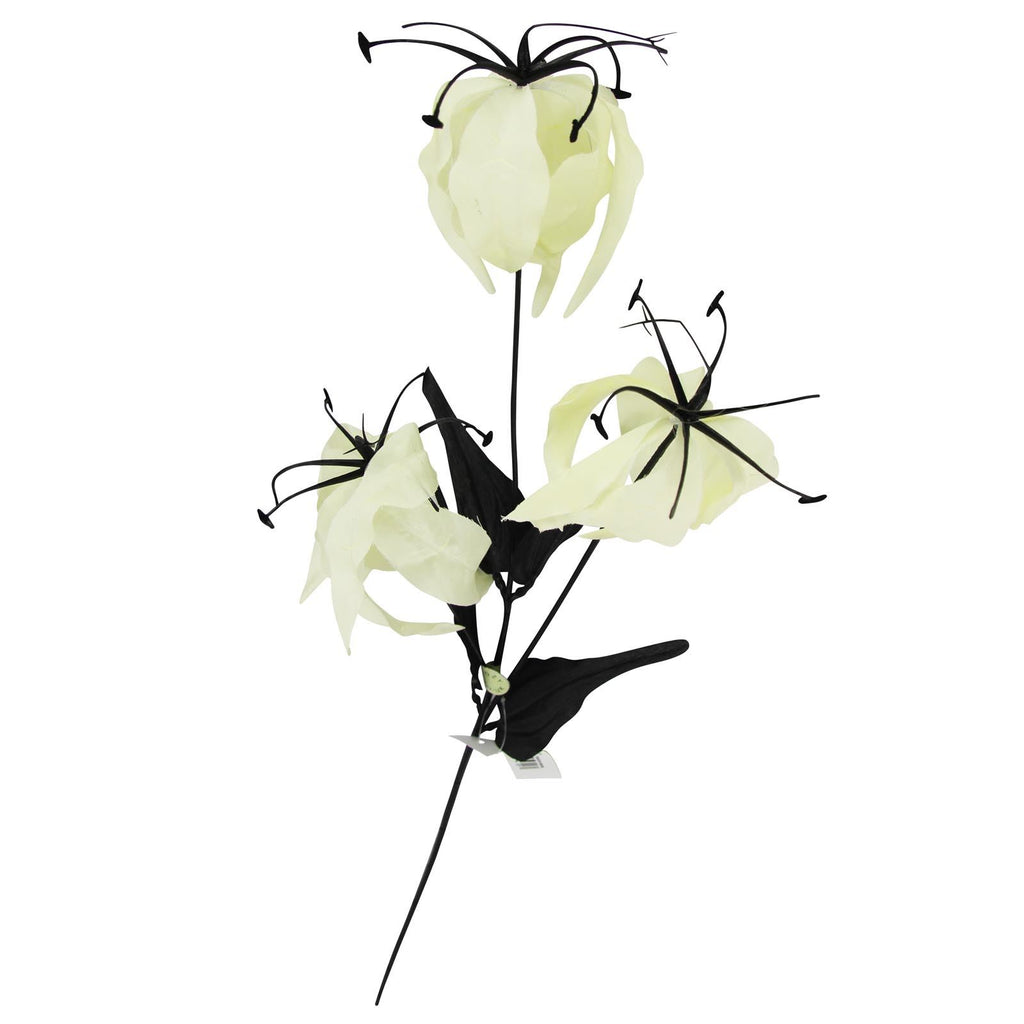 Gloriosa Spray with Black Foliage