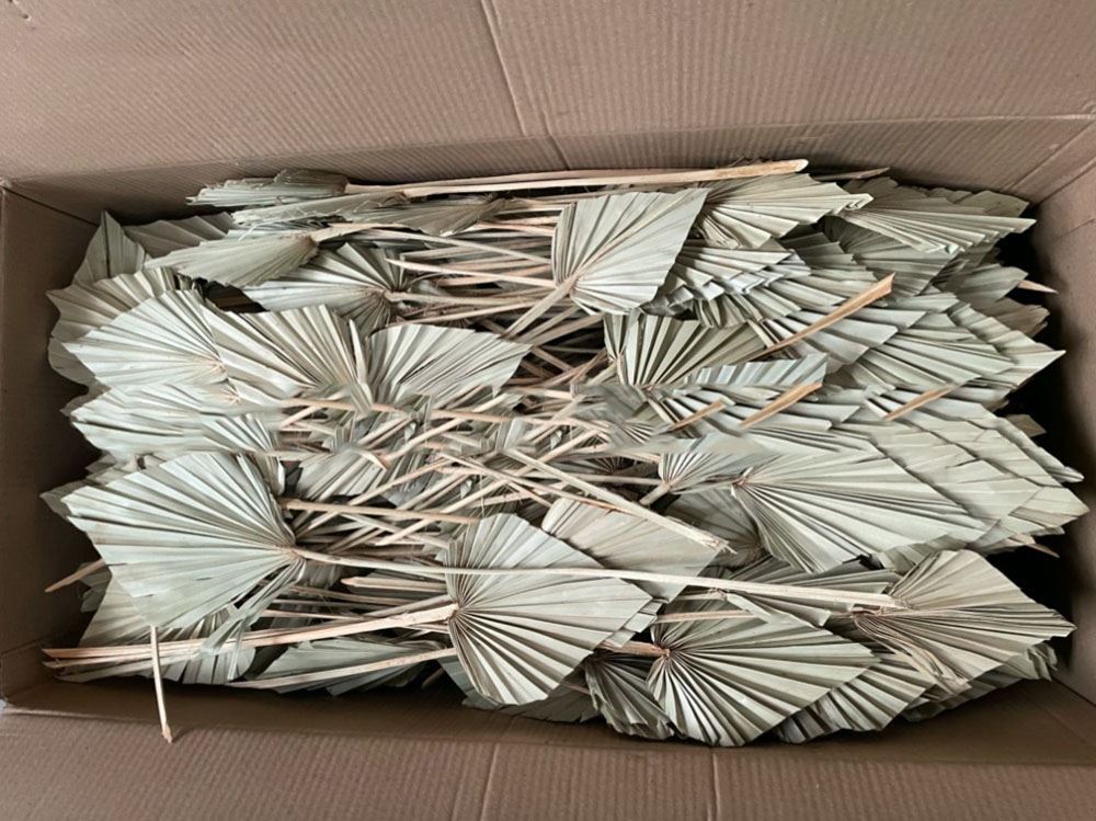 Natural Dried Palm Spears - Fans Leaves Dried Leaf Decoration