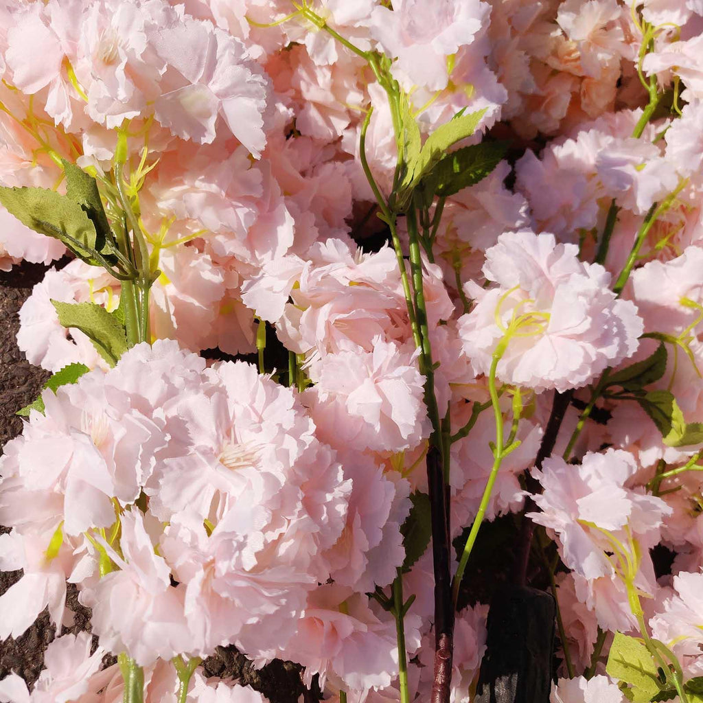 Premium Fluffy Cherry Blossom Tree
