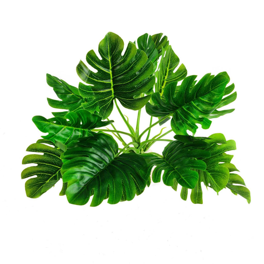 Bunch of 14 Premium Mini Cheeseplant Leaves