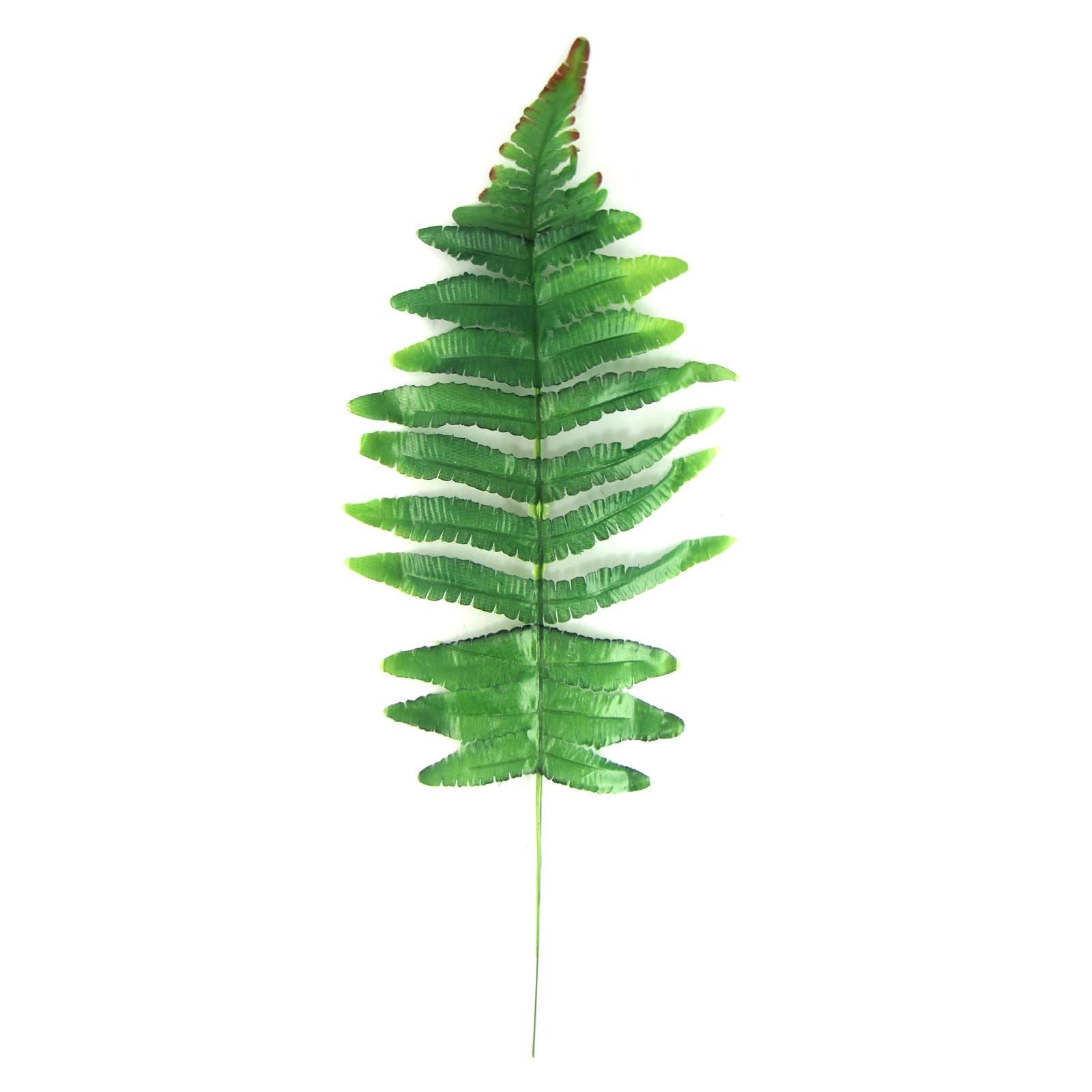 Tropical Single Regular Artificial Leaves