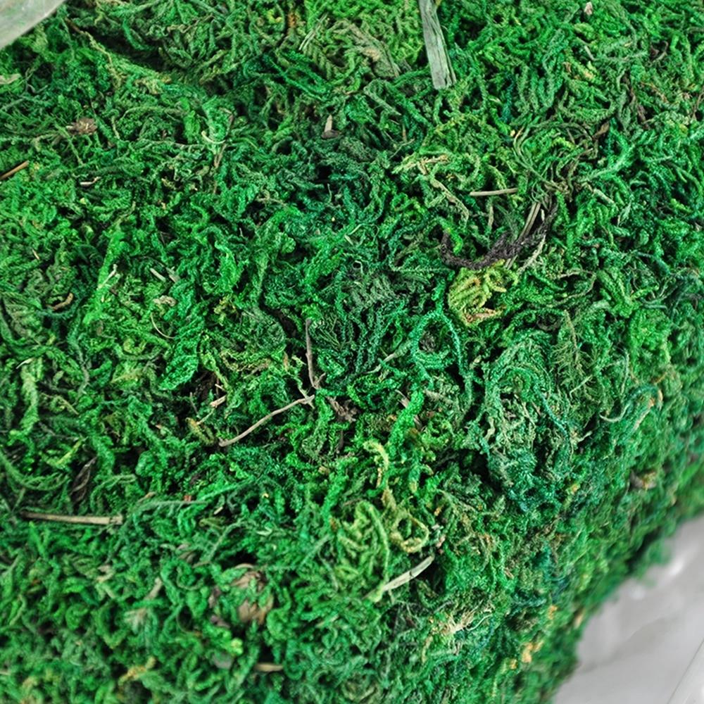 Premium Dried Moss