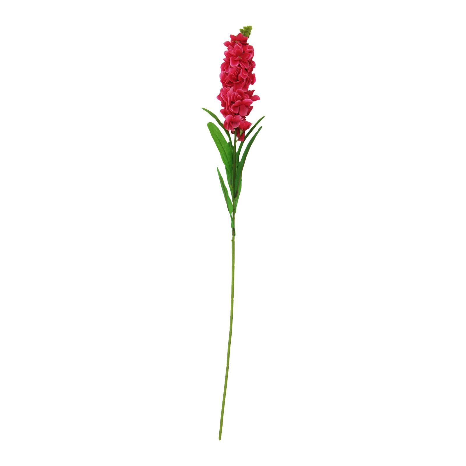Single Stocks Flower Stem