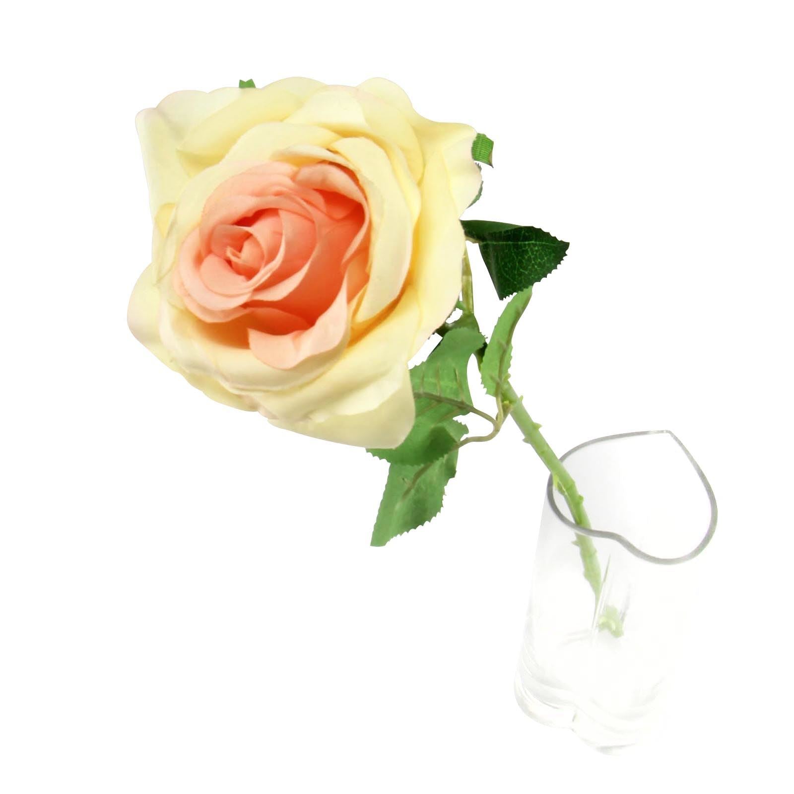 Soft Touch Premium Roses