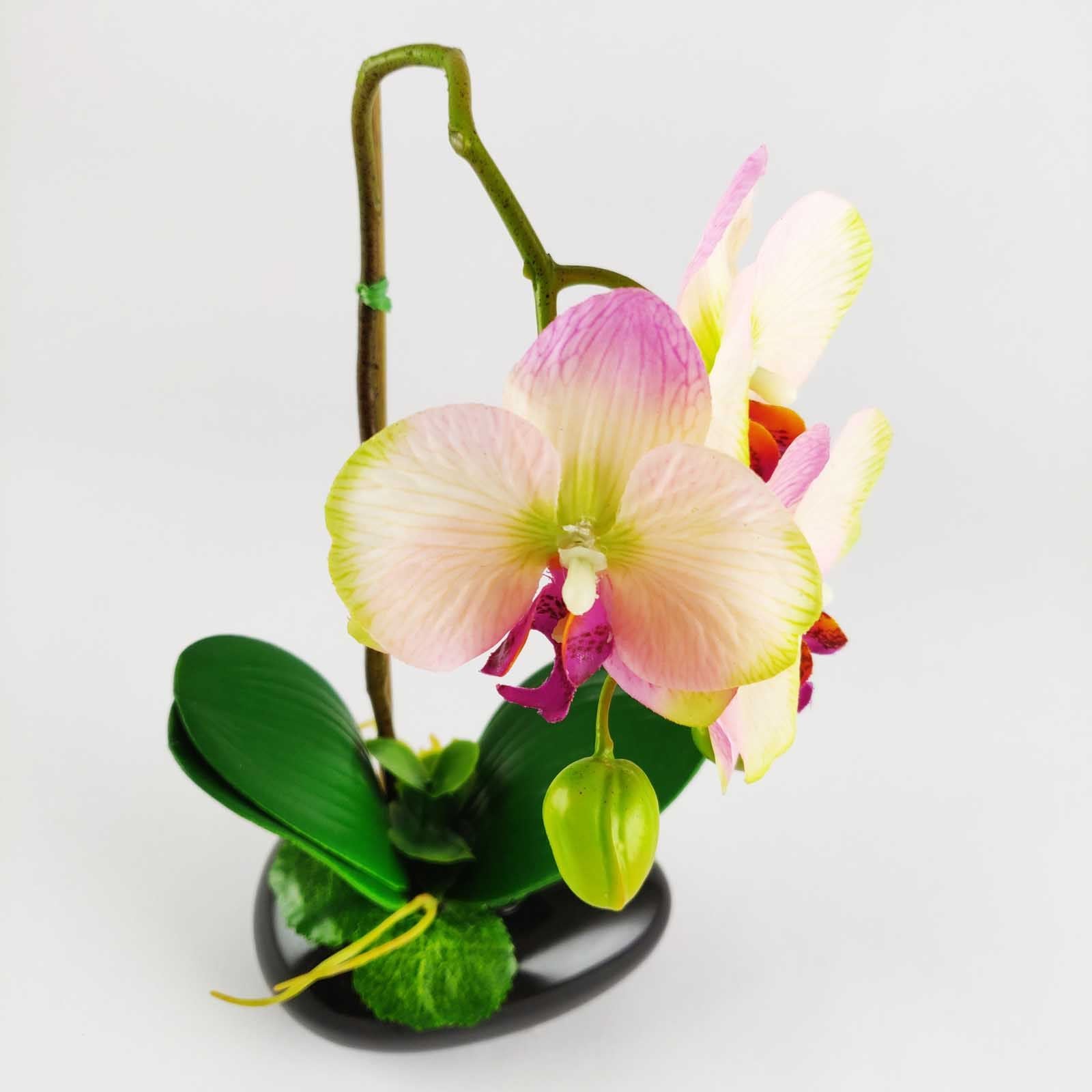 Pre-Potted Real Touch Orchid Plants