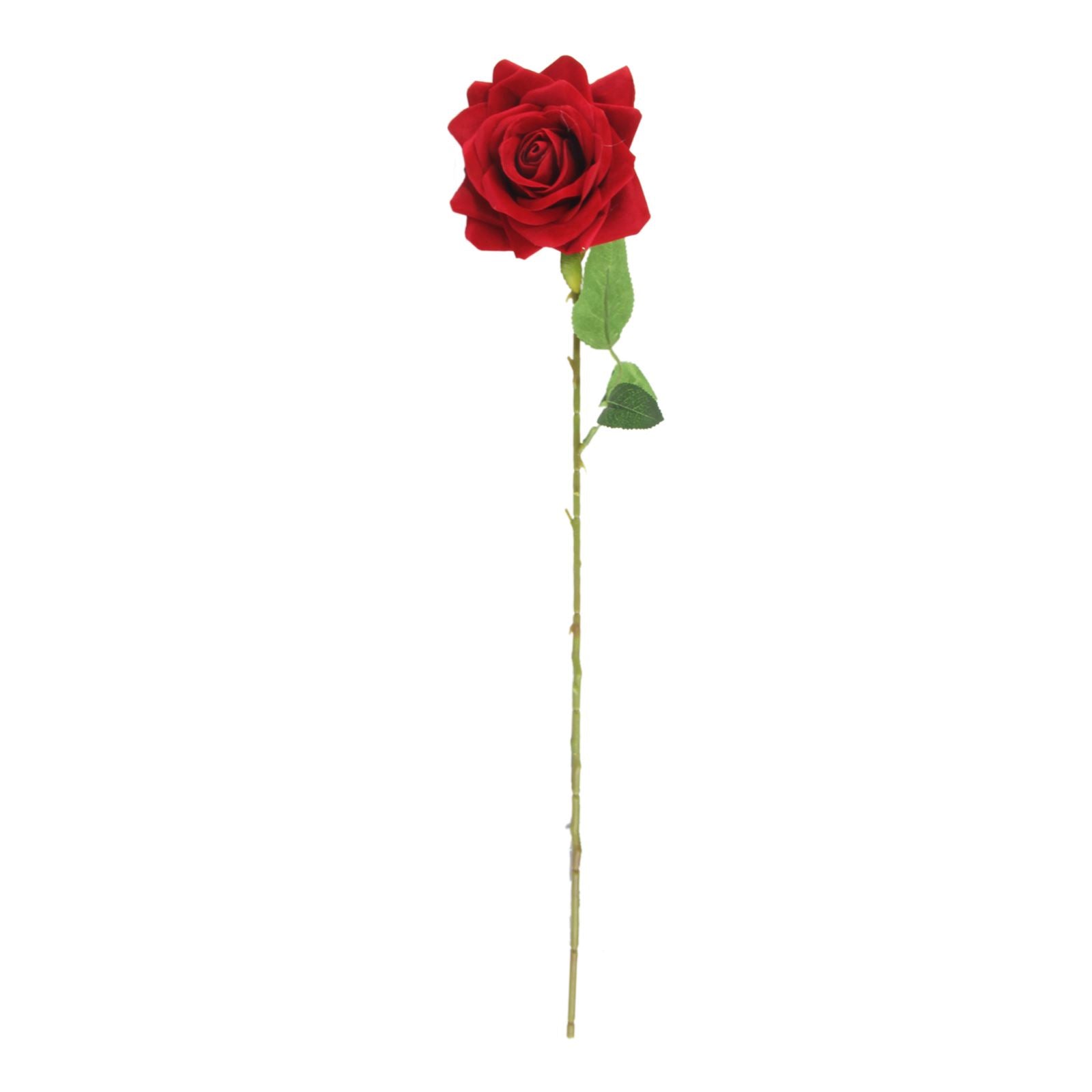 Premium Open Velvet Rose