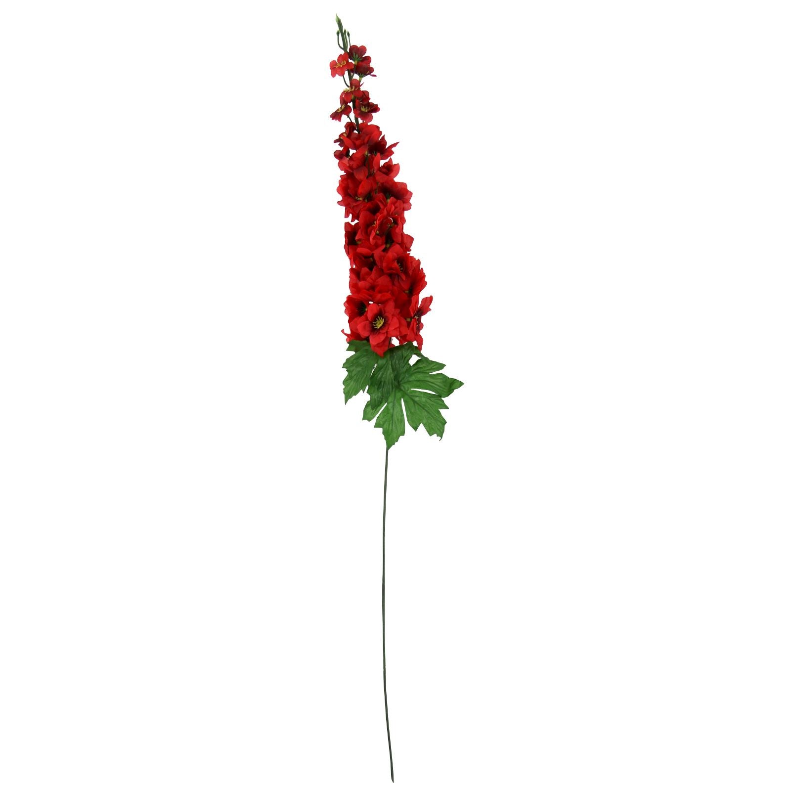 Single Delphinium Spray Stem
