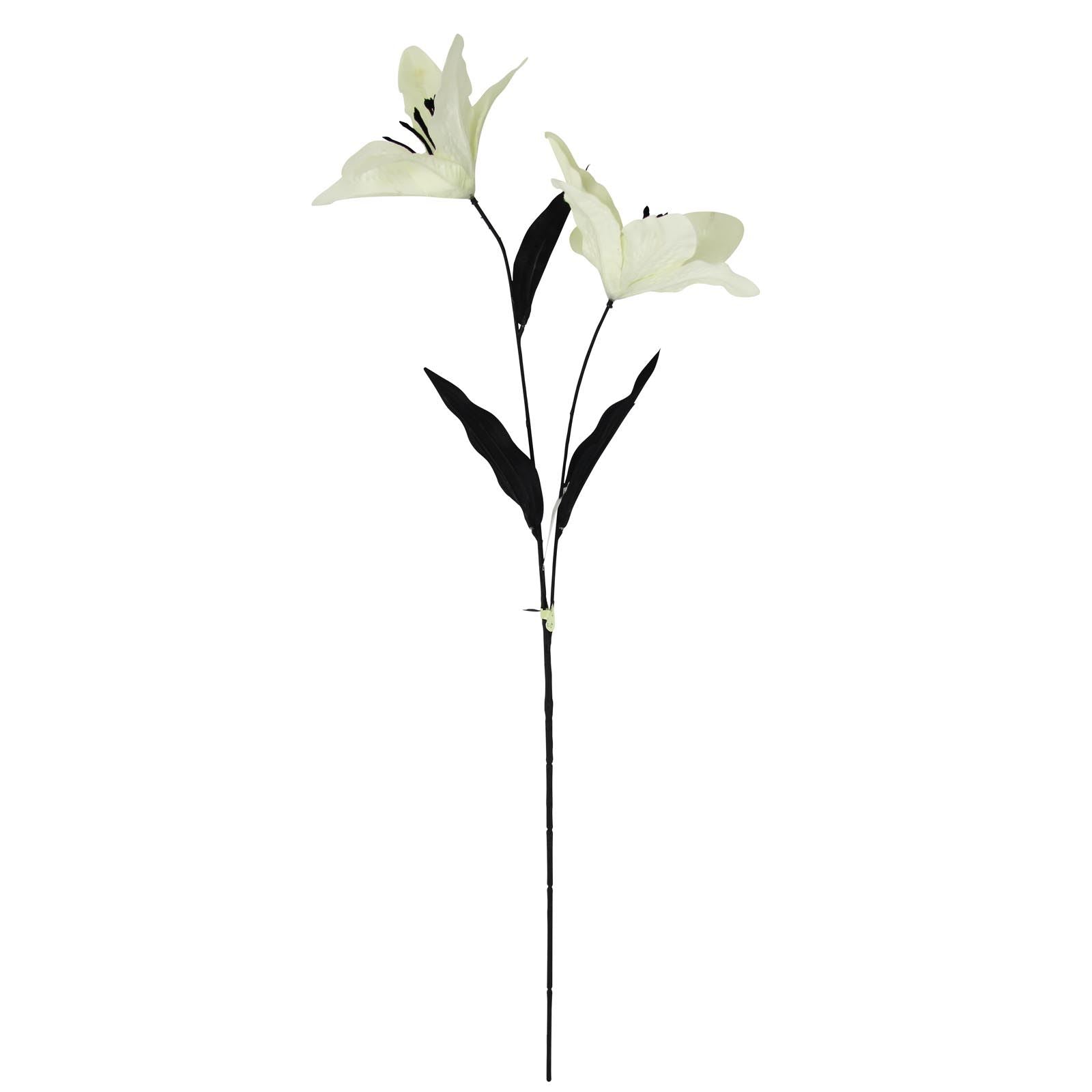 2 Head Stargazer Lily