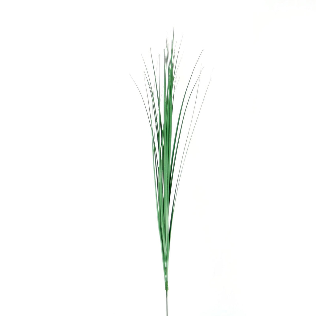 Bear Grass Spray
