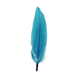 Large 5 Inch Goose Feathers