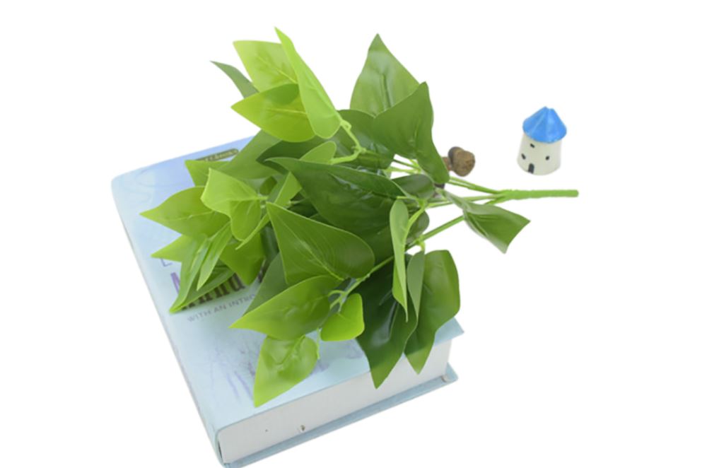 Glossy Foliage Bunches